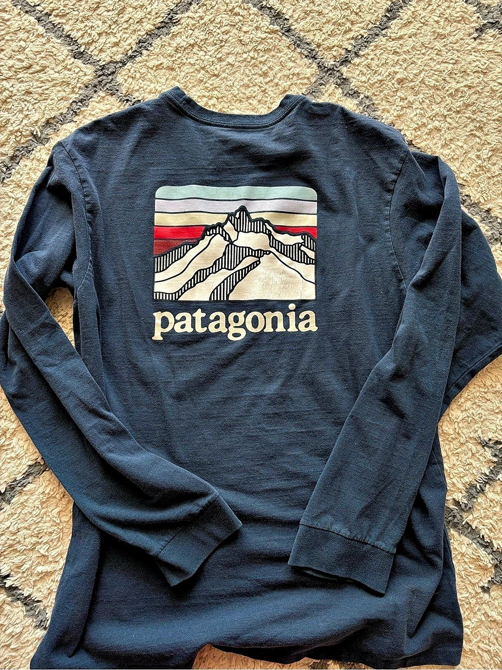 Patagonia Men's Long-Sleeved Fitz Roy Horizons Responsibili-Tee Blue